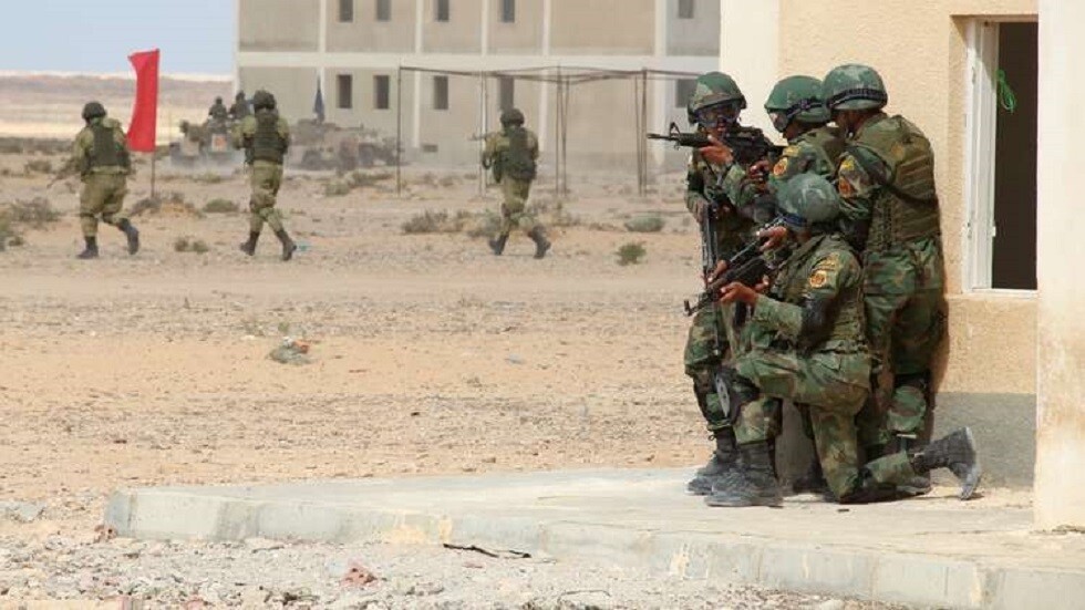 مصر تكشف حقيقة إعفاء الإناث من الخدمة العامة