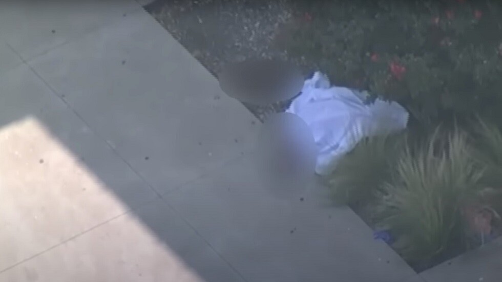 مقتل 9 أشخاص وجرح 7 آخرين بإطلاق نار جماعي داخل مركز تجاري في تكساس (فيديو)