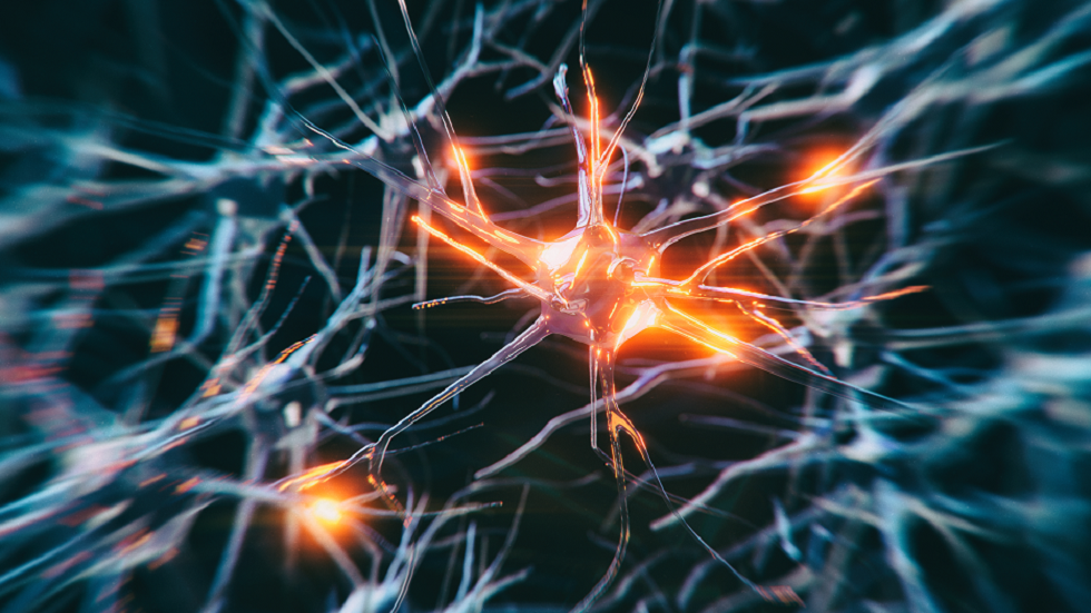 الباحثون يكتشفون "سببا محتملا" لمرض باركنسون!