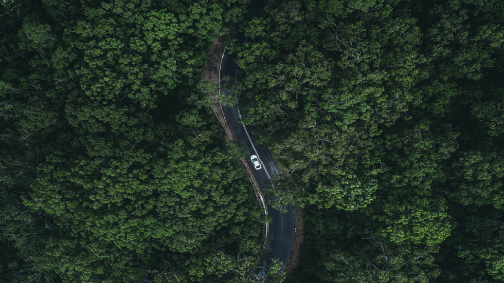 امرأة مفقودة في البرية الأسترالية 