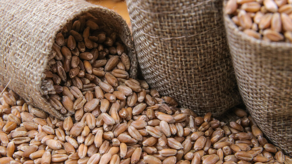 زاخاروفا عن هبوط أسعار الحبوب في مولدوفا: مشروع غربي يؤدي إلى انهيار جديد