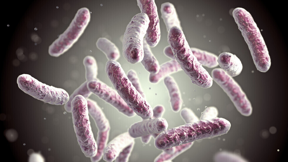 الصحة العالمية: جدري القرود لم يعد حالة طوارئ عالمية