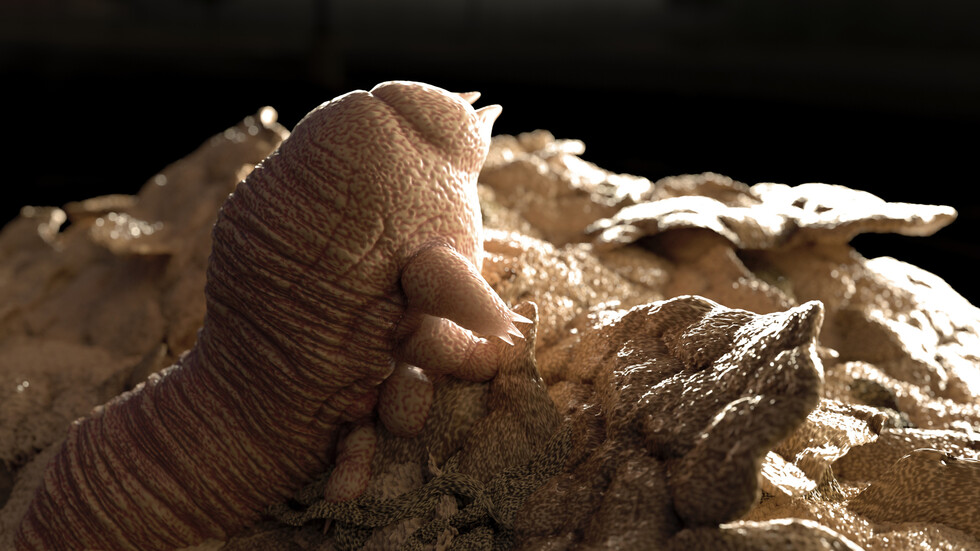 مقطع فيديو يكشف عن مخلوقات غير مرئية تتزاوج على وجوهنا عندما ننام