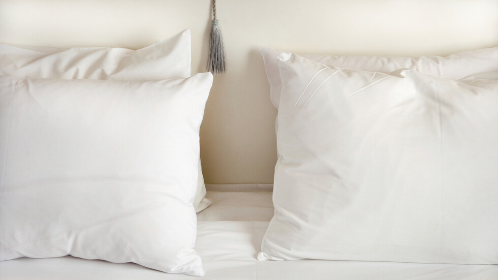 "وظيفة الحلم" .. وكالة الفضاء الأوروبية تمنح 18 ألف يورو لكل متطوع للنوم على الأسرّة شهرين