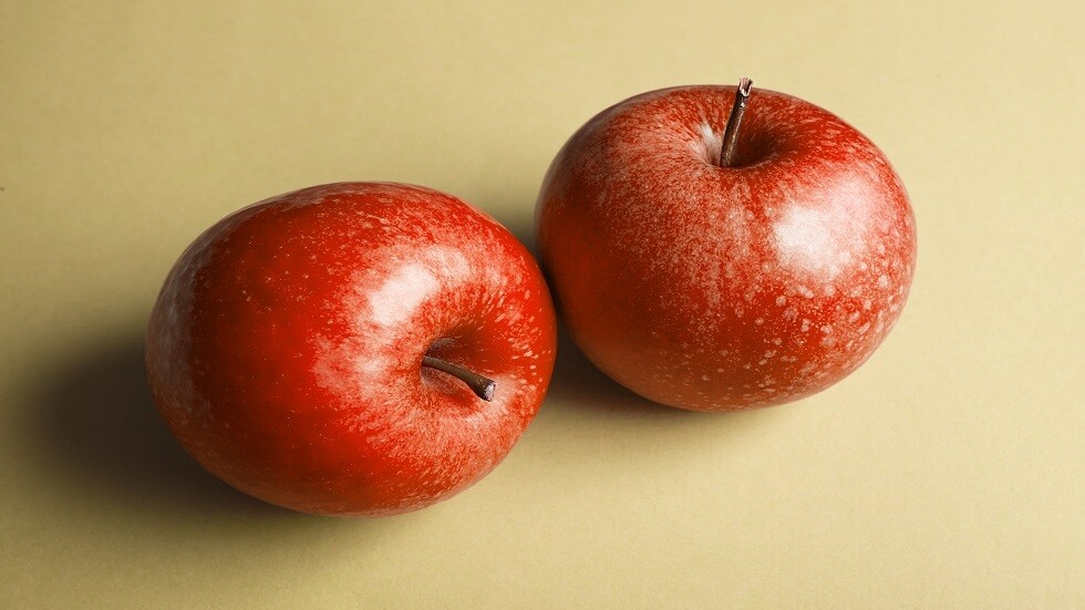 الكنيسة الرومانية ترفض قرارا قضائيا أوروبيا يطلب من بوخارست تشريع زواج المثليين