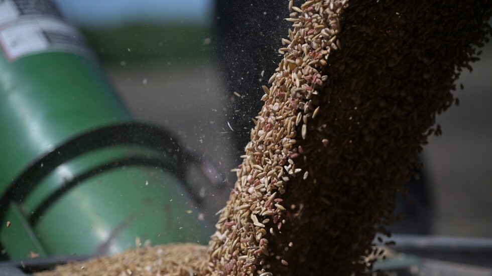 مصدر: روسيا قادرة على زيادة صادرات الحبوب إلى مصر