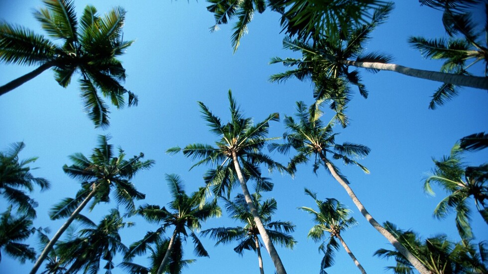 دولة آسيوية بصدد إطلاق "الفيزا الذهبية"