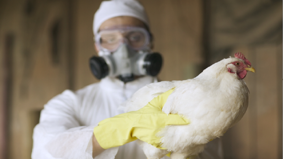 موسكو تتخذ تدابير وقائية بسبب انتشار إنفلونزا الطيور في بعض مناطقها