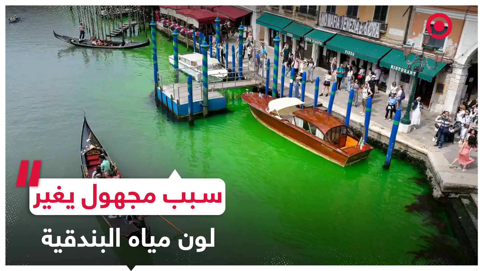 المياه في القناة الكبرى في البندقية تتحول إلى اللون الأخضر