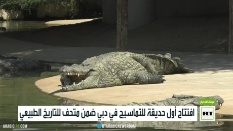 افتتاح أول حديقة للتماسيح في دبي ضمن متحف للتاريخ الطبيعي