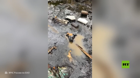 إنقاذ كلب غرق في حفرة نفطية بجنوب شرقي روسيا
