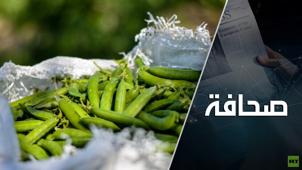 ما الأخطر على الأمن العالمي؟ الصواريخ أم الجوع؟
