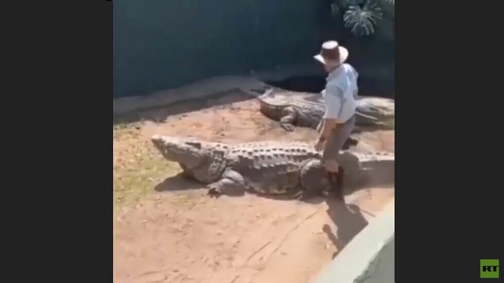 مشهد مرعب لرجل امتطى تمساحا ومازحه باستفزاز (فيديو)