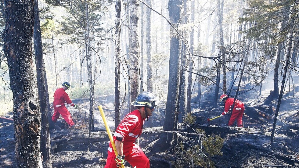 كندا.. مقاطعة كيبيك تطلب دعما دوليا لمكافحة حرائق الغابات