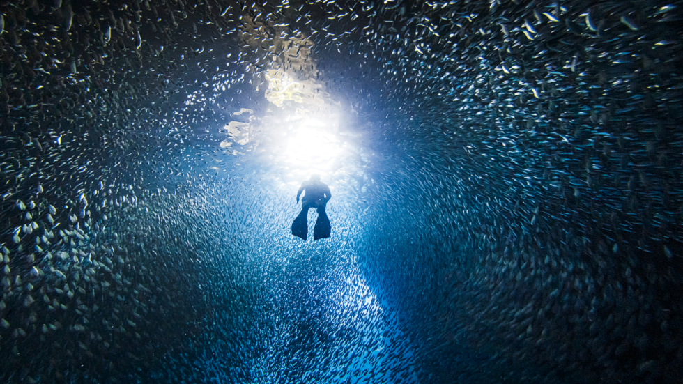تزامنا مع فقدان غواصة تايتانيك السياحية.. إلى متى يمكنك البقاء على قيد الحياة إذا نفد الهواء؟