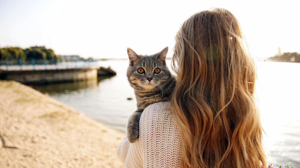 المناطق المكتظة بالسكان تزيد من انتشار