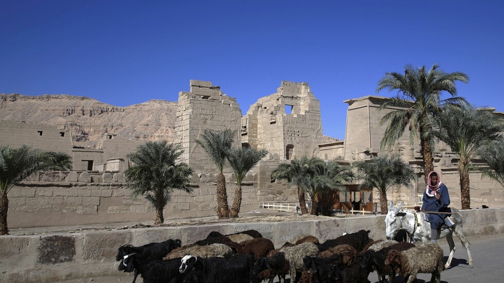 مصر.. وزارة الأوقاف تعلن تحصيل مبلغ قياسي في مشروع صكوك الأضاحي