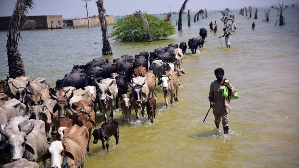 العلماء يرونها مشكلة.. كشف أسباب هطول أمطار غزيرة وليس ثلوجا على الجبال