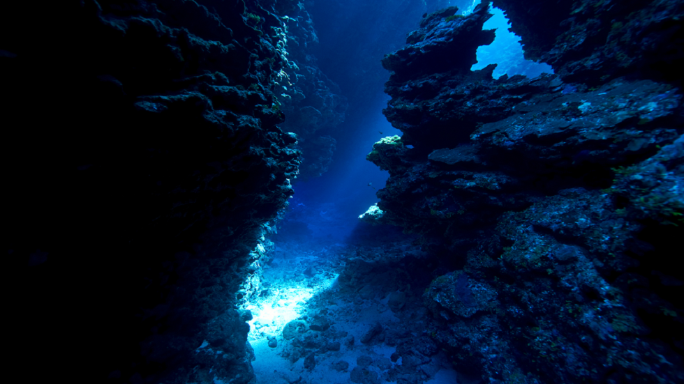 عالم شهير يزعم اكتشافه بقايا 