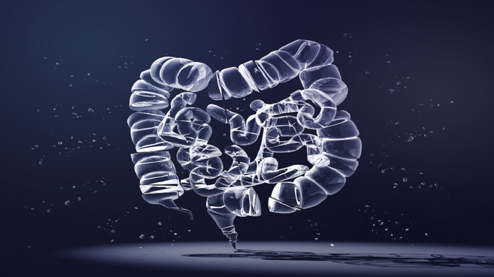 خبيرة تقدم نصائح مهمة لتحسين صحة أمعائك!