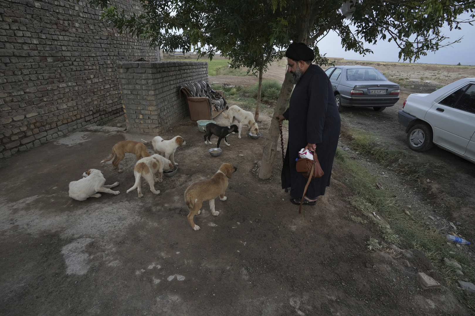 من أنصار الرفق بالحيوان.. رجل دين إيراني ينقذ كلابا ضالة في تحد مكروه بالبلاد (صور)