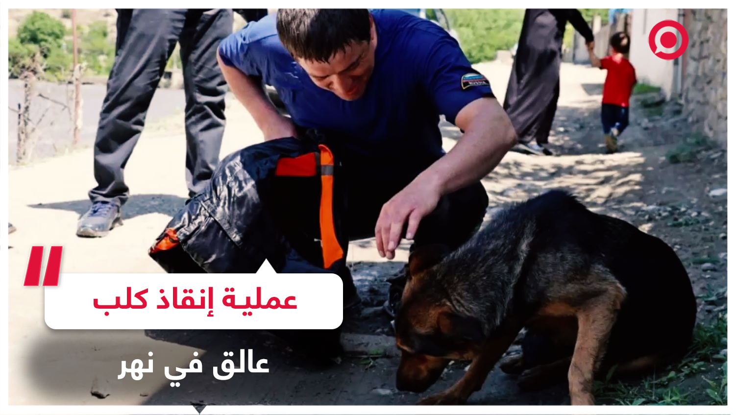 إنقاذ كلب عالق وسط نهر في داغستان