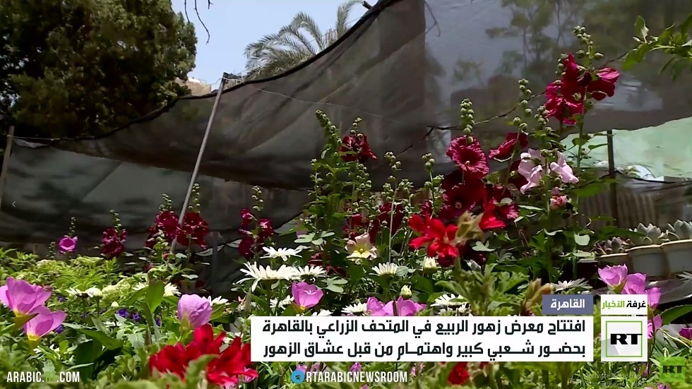 القاهرة.. افتتاح النسخة الـ 90 لمعرض زهور الربيع