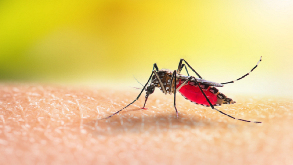 صحيفة: المسؤولون الأمريكيون قلقون من إصابات الملاريا في الولايات المتحدة