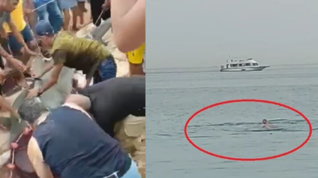 الصور الأولى لسمكة القرش التي قتلت السائح الروسي في مصر بعد تحنيطها