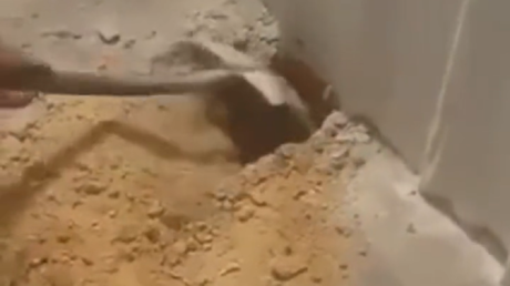 كويتي يعثر على قط تحت الأرض على قيد الحياة بعد أسبوع من صب الخرسانة