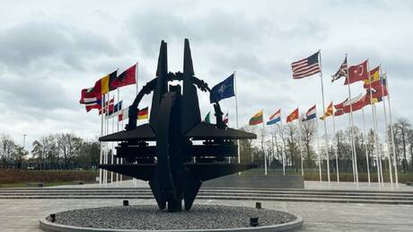 مستشار زيلينسكي يزعم عضوية بلاده في الناتو لمجرد امتلاكها الأسلحة الغربية