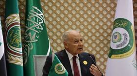 أبو الغيط يتحدث عن ضرورة