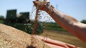 بوتين: روسيا تدرس الانسحاب من صفقة الحبوب
