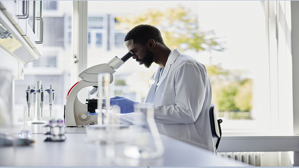 دواء ضغط دم شائع يطيل العمر ويبطئ الشيخوخة في الحيوانات!