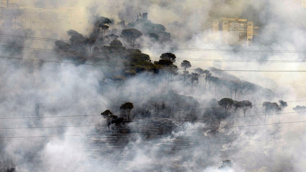 نائب لبناني يحذر من اتجاه البلاد نحو التصحر