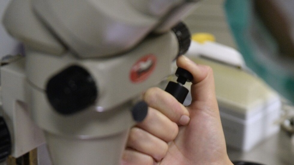 الكنيسة الأرثوذكسية الروسية تربط بين الأمومة البديلة وتكاثر المثليين