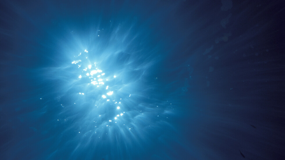 اكتشف بركان قديم تحت الماء ما يزال نشطا ومغطى بنحو مليون بيضة عملاقة لكائن غير معروف!