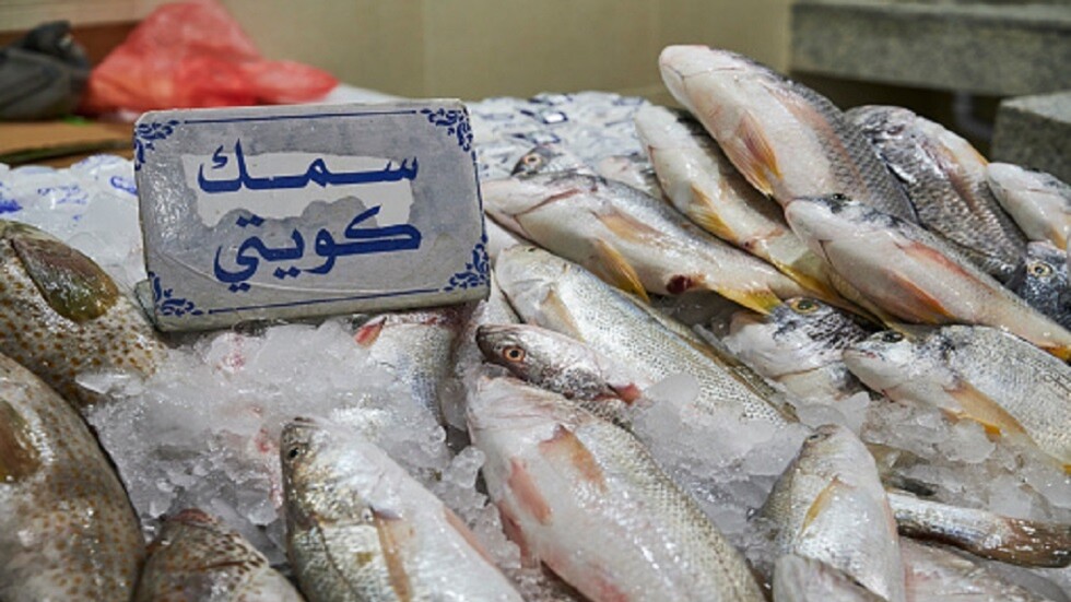 "أسماك الكويت ملوثة بالبلاستيك" والسفارة البريطانية تطلق تحذيرا يخص مياه الخليج (صور)