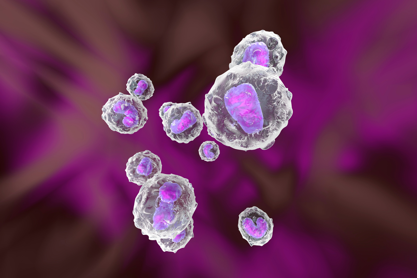 صورة تعبيرية لخلايا مناعية