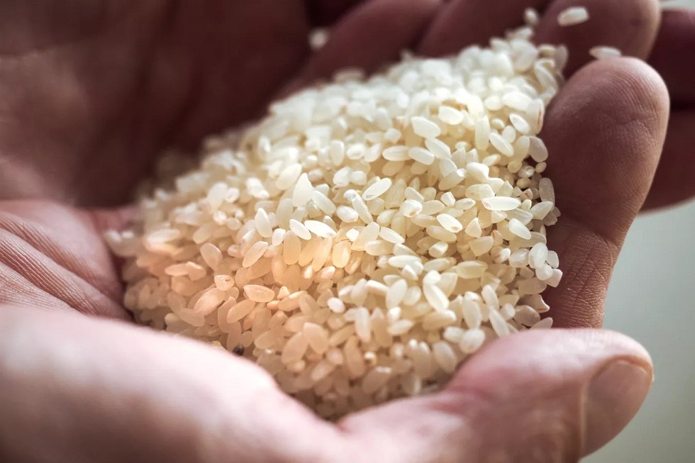 الإمارات توقف تصدير وإعادة تصدير الأرز