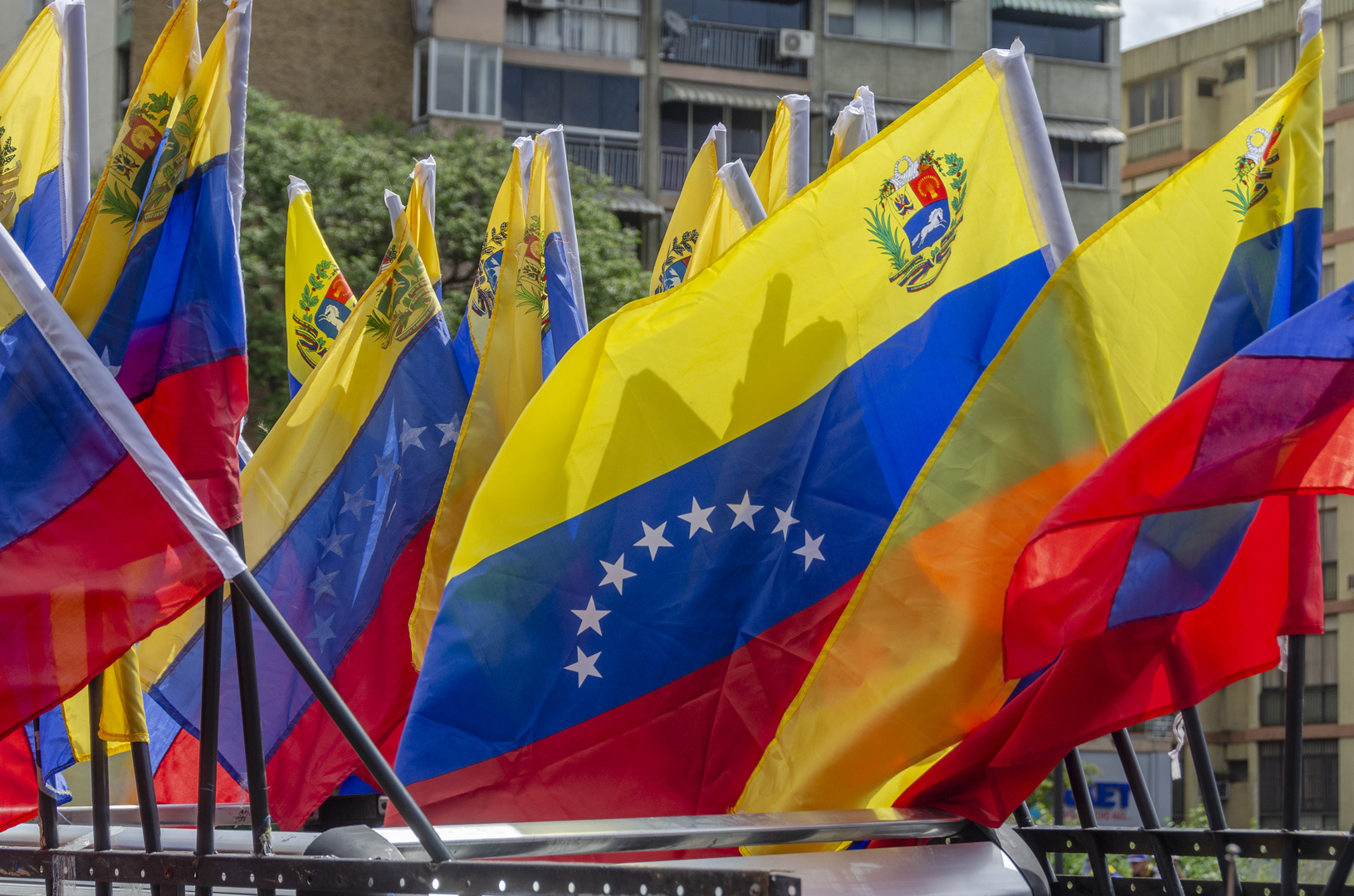 برلماني فنزويلي: استئناف الحوار السياسي هو الحل الوحيد للأزمة في بلادنا