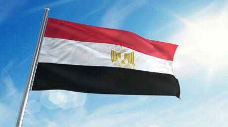 باحث يكشف لـRT أهداف مصر الاستراتيجية من نقل أسلحة ثقيلة إلى النيجر