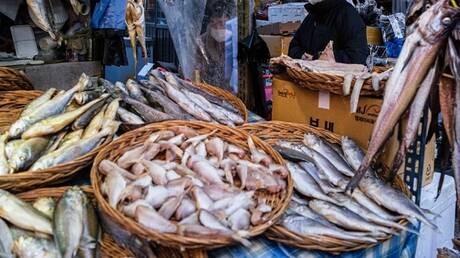 مصر.. بيع سلحفاة نادرة ومهددة بالانقراض في محل لبيع السمك (صور)