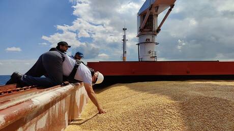مصر: عدم تمديد صفقة الحبوب لن يؤثر علينا