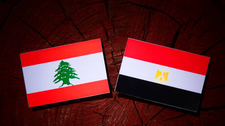 وزير الزراعة اللبناني يثمن الدعم المصري لبلاده