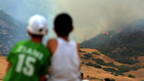 الجزائر.. رجال الإطفاء يكافحون حرائق الغابات في 7 ولايات (فيديو)