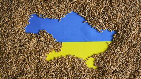 زيلينسكي يعلق على احتمال تمديد القيود الأوروبية المفروضة على تصدير الحبوب الأوكرانية