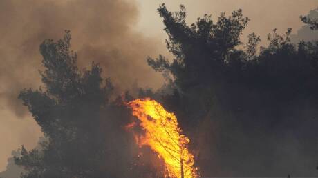 استمرار جهود فرق الإطفاء في اليونان وتركيا للسيطرة على حرائق الغابات