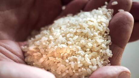 الإمارات توقف تصدير وإعادة تصدير الأرز