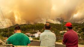 في يوم واحد.. النيران تلتهم مساحة تعادل نحو 6500 ملعب كرة قدم في جزيرة لا بالما الإسبانية (فيديو)